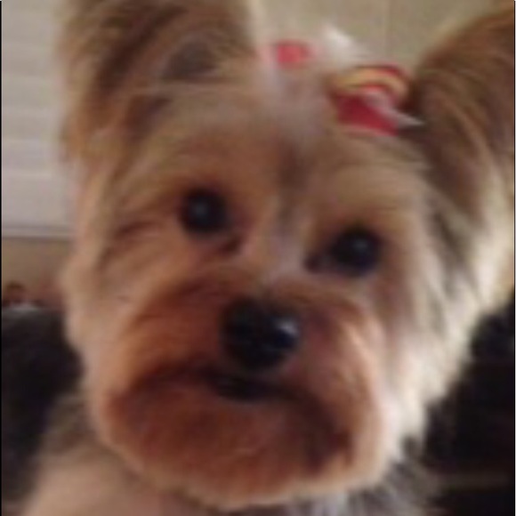 Meet your Posher, Kristine - Picture 8 of 8